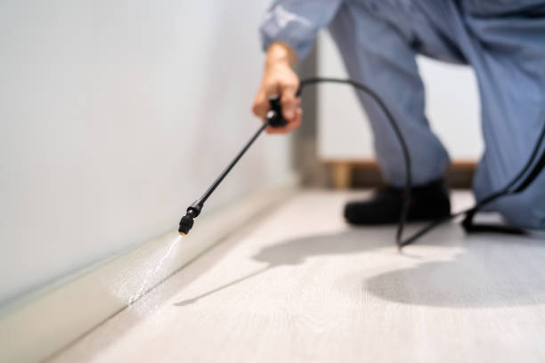 Bed Bug Pre-Treatment Preparation Assessment in William Paterson University of New Jersey