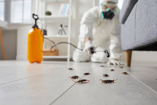 Post-Treatment Bed Bug Interceptor Monitoring in William Paterson University of New Jersey